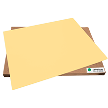 BRISTOL CELLUFIBRA 130 GRS 50X65 CANARIO PAQ C/100