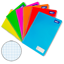 CUADERNO PROFESIONAL CUADRO 5MM 100 HOJAS C/48 PZAS