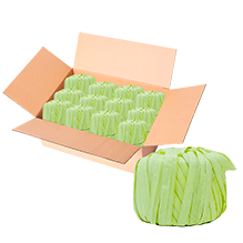 RAFIA TOYO BOLA 100 GR 3 CREMA CAJA C/200